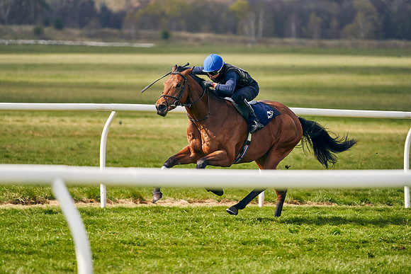 2021-04-12-Dominic-James-Craven-Breeze-Up-Sales-1406
