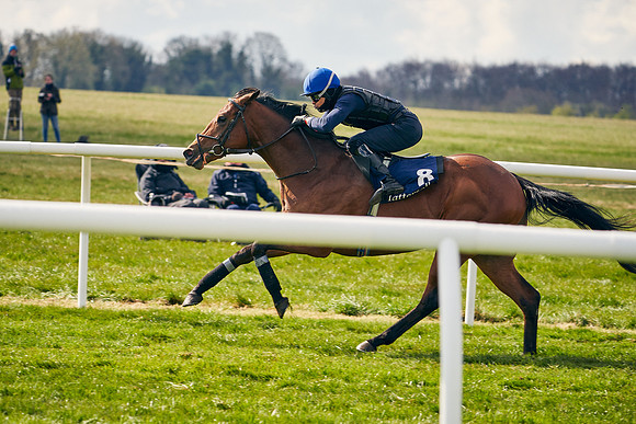 2021-04-12-Dominic-James-Craven-Breeze-Up-Sales-1407