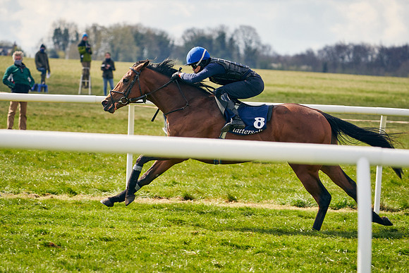 2021-04-12-Dominic-James-Craven-Breeze-Up-Sales-1408