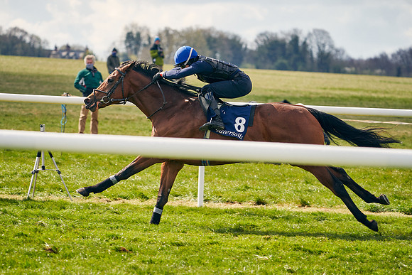 2021-04-12-Dominic-James-Craven-Breeze-Up-Sales-1409