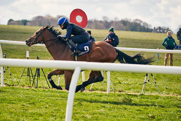 2021-04-12-Dominic-James-Craven-Breeze-Up-Sales-1410