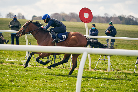 2021-04-12-Dominic-James-Craven-Breeze-Up-Sales-1411