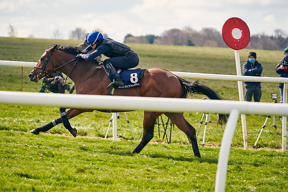 2021-04-12-Dominic-James-Craven-Breeze-Up-Sales-1412