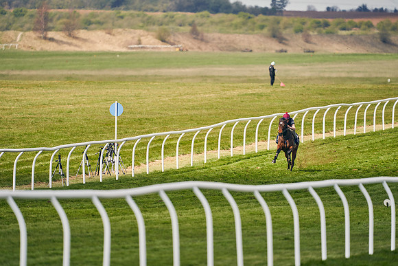 2021-04-12-Dominic-James-Craven-Breeze-Up-Sales-1415