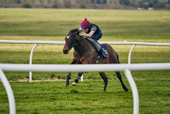 2021-04-12-Dominic-James-Craven-Breeze-Up-Sales-1416