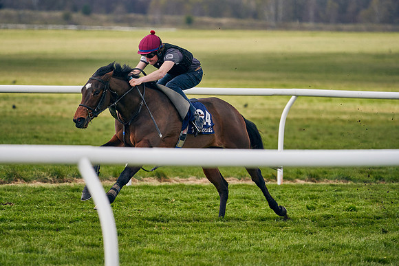 2021-04-12-Dominic-James-Craven-Breeze-Up-Sales-1417