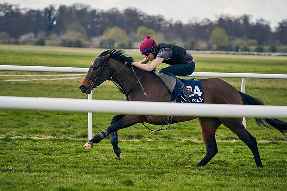 2021-04-12-Dominic-James-Craven-Breeze-Up-Sales-1418