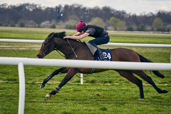2021-04-12-Dominic-James-Craven-Breeze-Up-Sales-1419