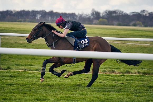 2021-04-12-Dominic-James-Craven-Breeze-Up-Sales-1420