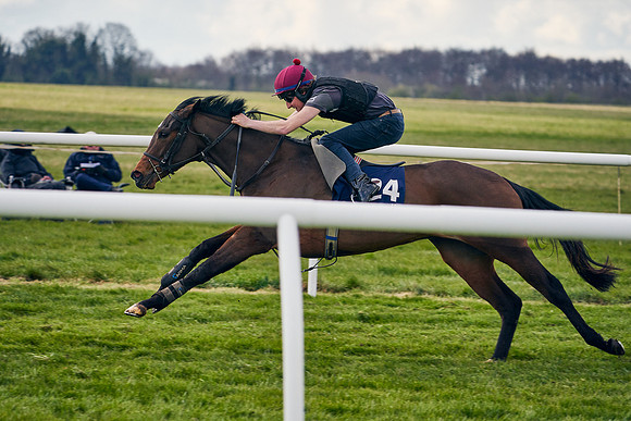 2021-04-12-Dominic-James-Craven-Breeze-Up-Sales-1421