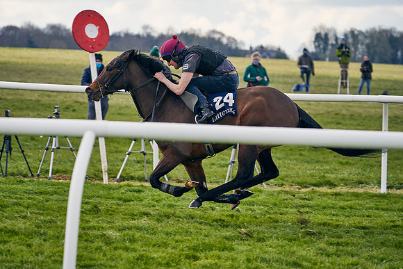 2021-04-12-Dominic-James-Craven-Breeze-Up-Sales-1422