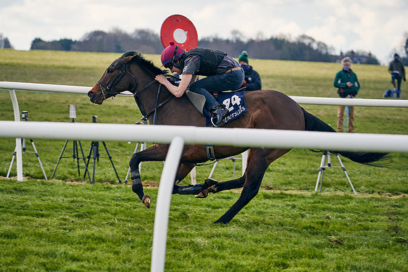 2021-04-12-Dominic-James-Craven-Breeze-Up-Sales-1423