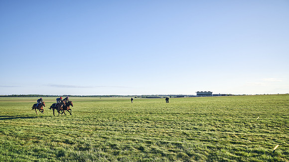 SUMMER GALLOPS-2nd-May-DJ-0964