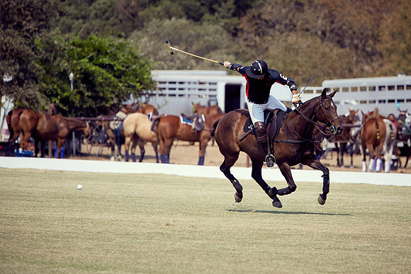 Oyster Cup Polo tournament