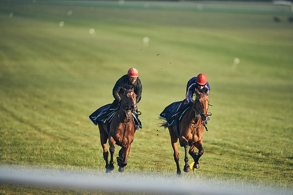 SUMMER GALLOPS-2nd-May-DJ-2168