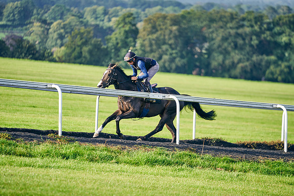 2023-08-17-Dominic-James-03968