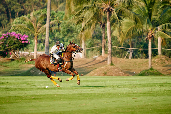 THAI-PINK-POLO-2020-Dominic-James_DJ95334.ARW-10856