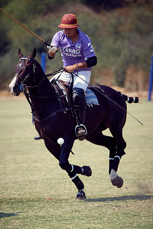 Oyster Cup Polo tournament