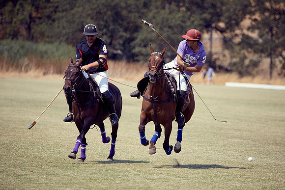Oyster Cup Polo tournament