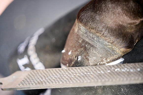 2025-07-17-Dominic-James-03466