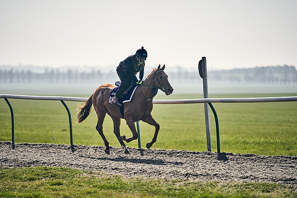 GEORGE-BOUGHEY-RACING-DJ-3330