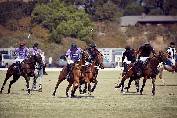 Oyster Cup Polo tournament