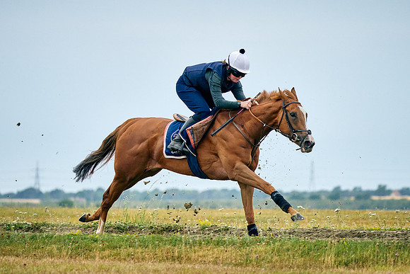 2022-07-23-DominicJames-1291