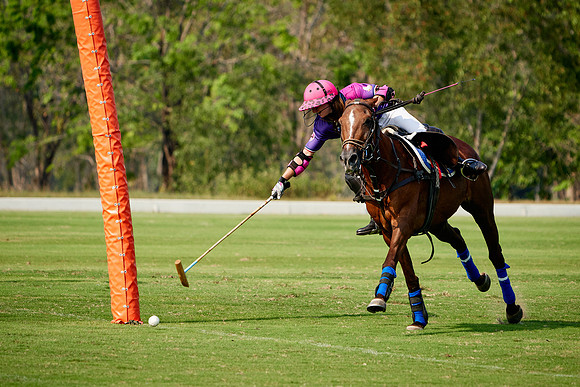 THAI-PINK-POLO-2020-Dominic-James_DJ98850.ARW2976