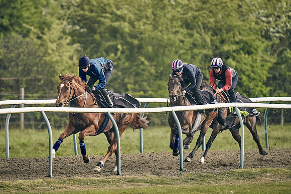 NEWMARKET-GALLOPS-24nd-APRIL-DJ-0541