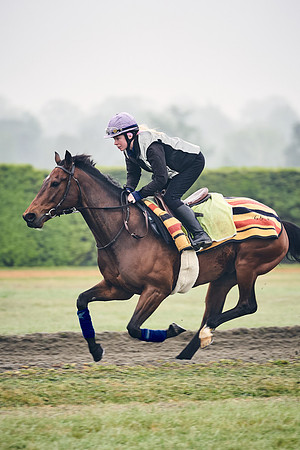 NEWMARKET-GALLOPS-24nd-APRIL-DJ-0183