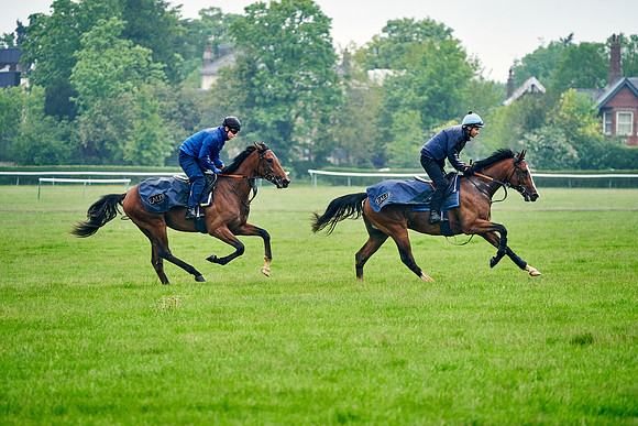 2021-05-19-Dominic-James-7441