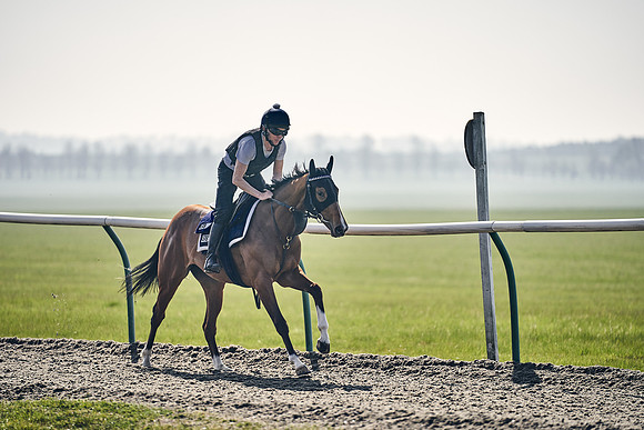 GEORGE-BOUGHEY-RACING-DJ-3353