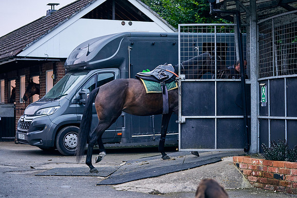 2023-08-31-Dominic-James-00047