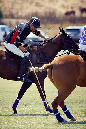 Oyster Cup Polo tournament
