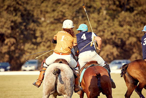 Oyster Cup Polo tournament
