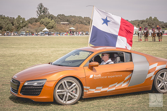 2014080320140803-Dominic-James-PoloSF-Finals-004-5G3A7820.jpg