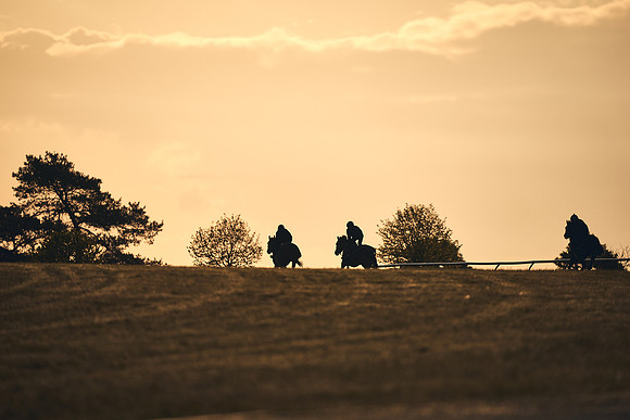 SUMMER GALLOPS-2nd-May-DJ-2087