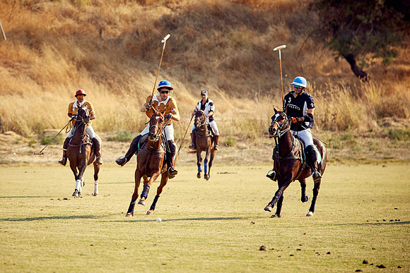 Oyster Cup Polo tournament