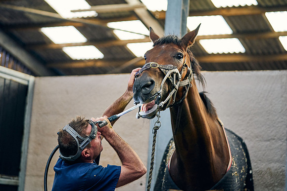 2023-09-05-Dominic-James-00903
