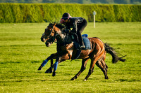 29th May Limekilns 001