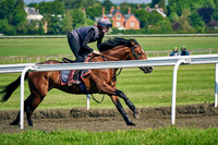 29th May Warren Hill 012