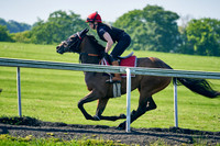 29th May Warren Hill 012