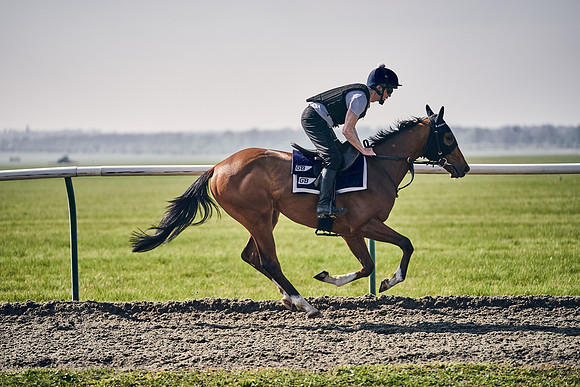 GEORGE-BOUGHEY-RACING-DJ-3380