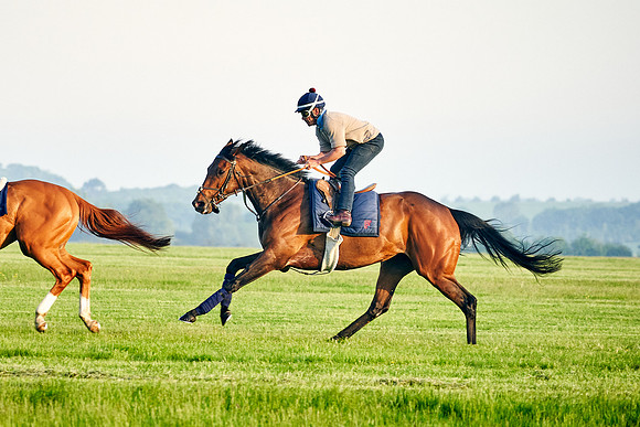 Audarya under Geoffrey De La Sayette