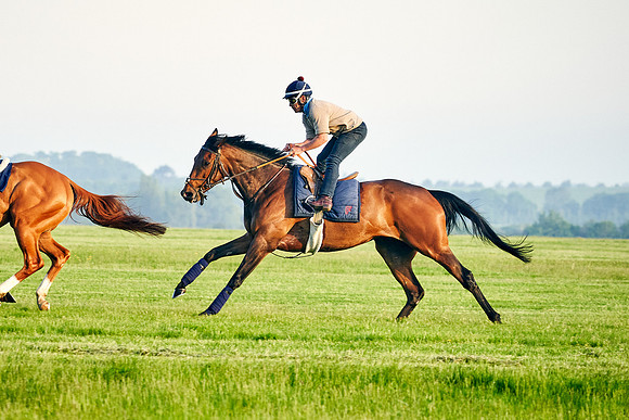 Audarya under Geoffrey De La Sayette