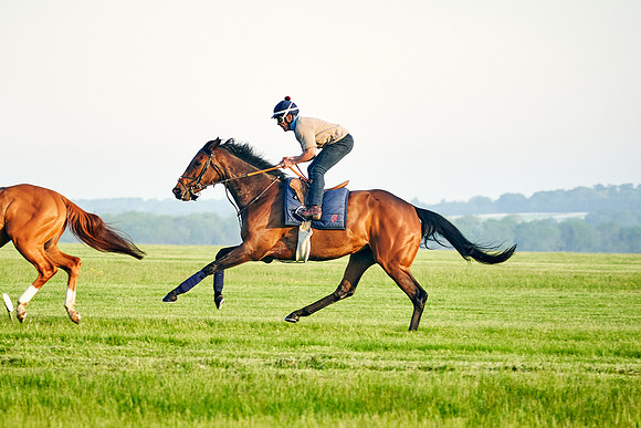 Audarya under Geoffrey De La Sayette
