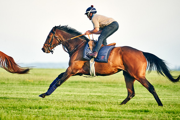 Audarya under Geoffrey De La Sayette