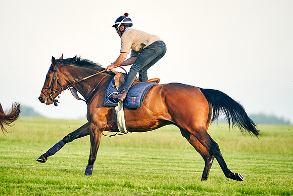 Audarya under Geoffrey De La Sayette