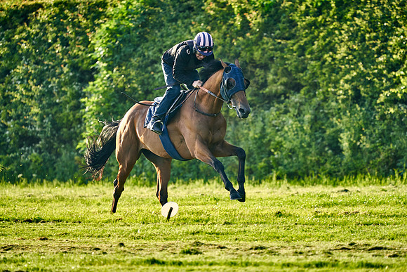 2021-06-02-Dominic-James-0861