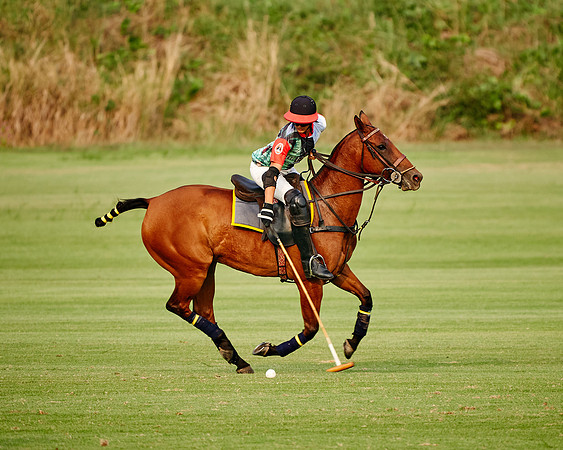THAI-POLO-PRACTICE-2020-01-21-Dominic-James_DJ91802.ARW8625